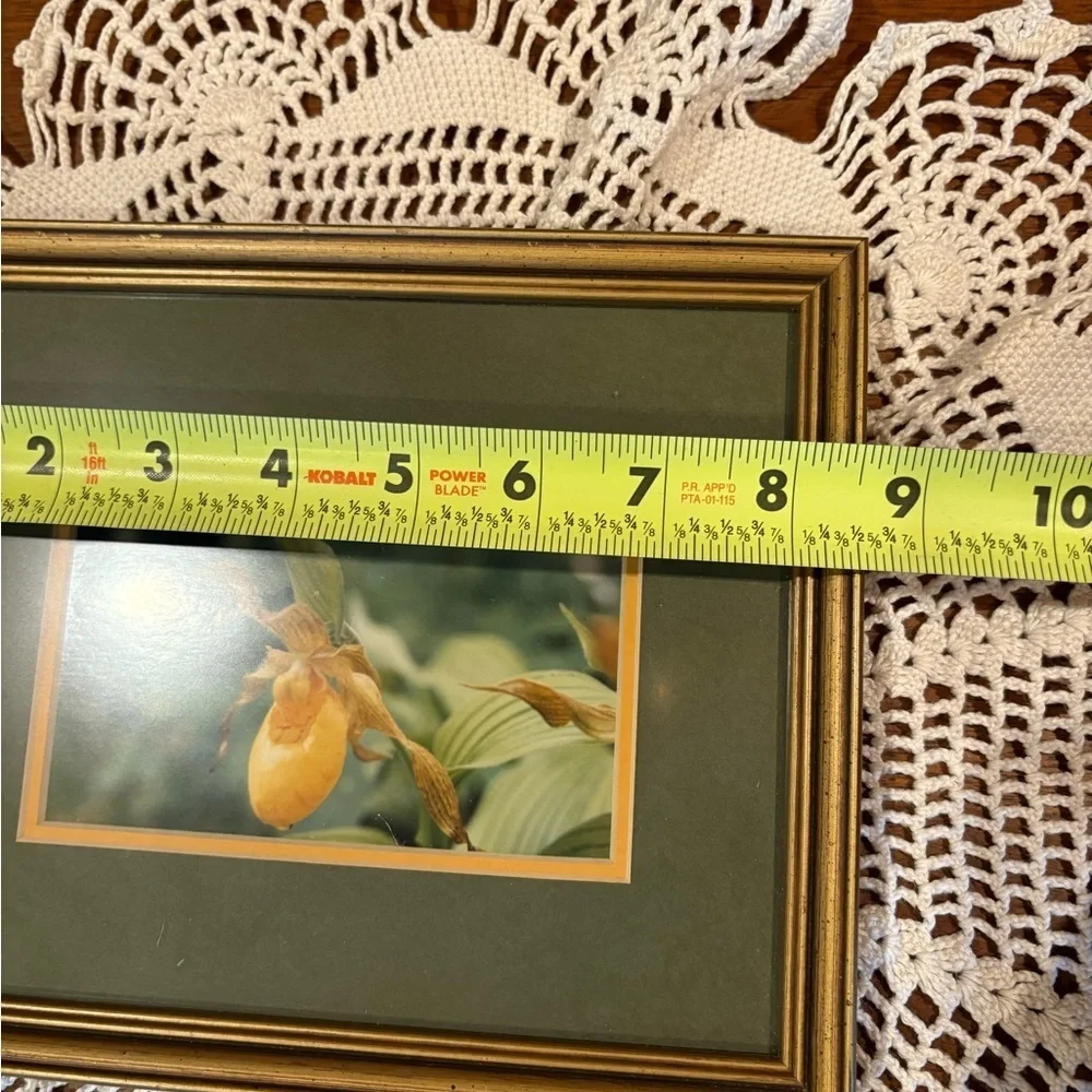 Pine Grown Framing unknown photographer yellow lady
